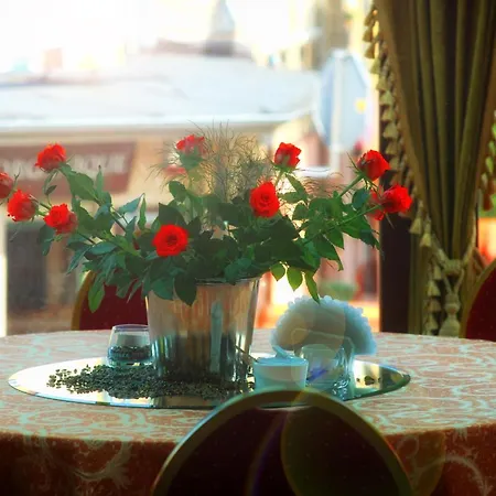 玛丽亚海伦娜酒店 斯扎瓦诺泽德霍